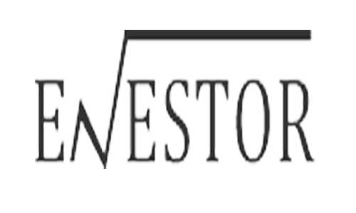 Enestor logo